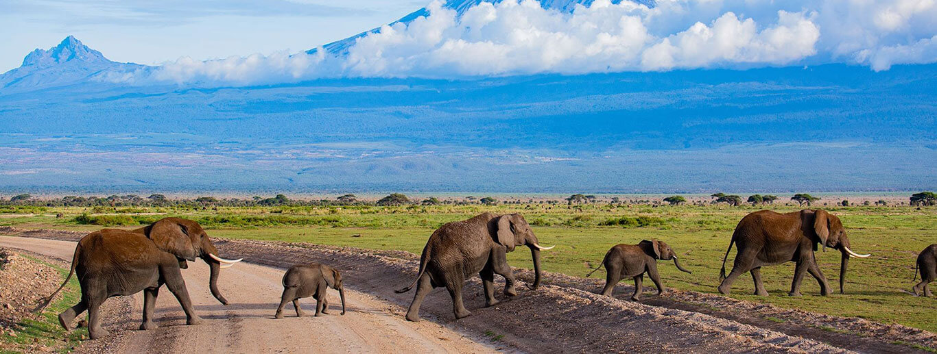 2 Nights Combo Kilaguni/Amboseli Serena