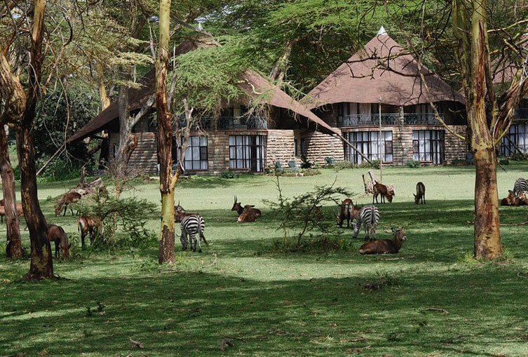 Lake Naivasha Sopa Resort